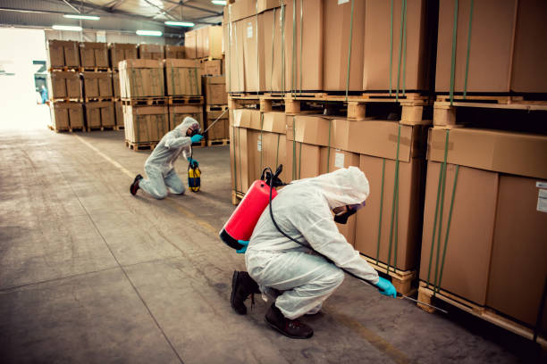 Flea Control Services in Middleburg, FL