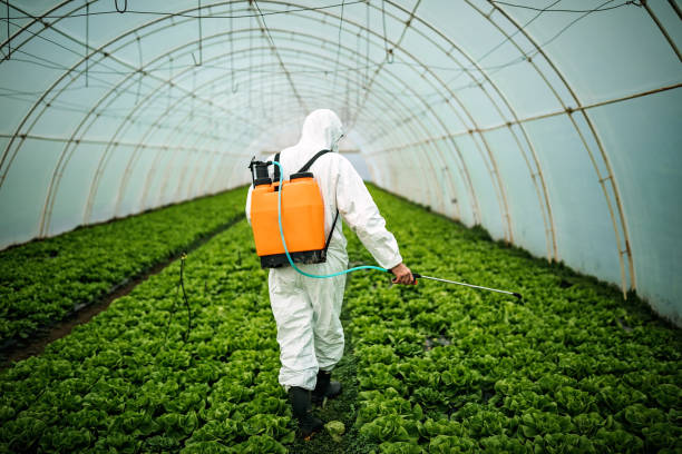 Best Insect Control  in Middleburg, FL