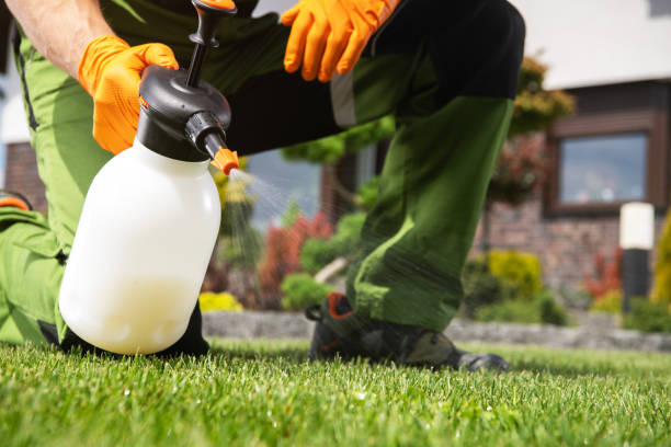 Insect Control in Middleburg, FL