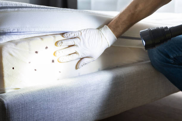 Best Pest Prevention Services  in Middleburg, FL