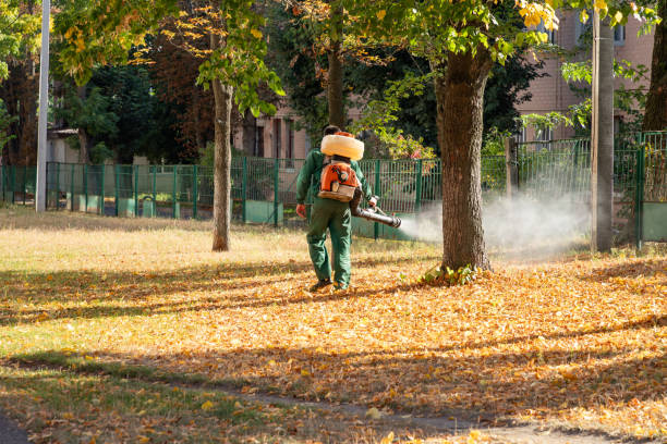 Best Wildlife Control Services  in Middleburg, FL